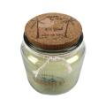 Aroma Di Rogito - Holiday Scented Candles - Glass Jar With Cork Lid - Tropical Shore Pineapple
