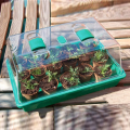 The Urbanist - Mini Greenhouse With Ventilation