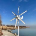 FLTNXY POWER 600W 24V Small Wind Turbine for Home Use