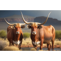 Canvas Wall Art - Two Afrikaner Cattle Standing - B1428