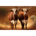 Canvas Wall Art - Two Boran cattle Standing - B1423