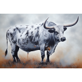 Canvas Wall Art - Large Nguni Bull Painting.  - A1605