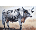 Canvas Wall Art - Large Nguni Bull Painting.  - A1607