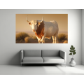 Canvas Wall Art - Boran Cattle Breed - B1408