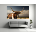 Canvas Wall Art - Ankole Watusi Cattle Breed - B1410