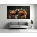 Canvas Wall Art - Two Ankole Bulls - B1413