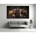 Canvas Wall Art - Two Ankole Bulls - B1415