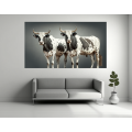 Canvas Wall Art - Two Nguni Bulls With Spots - B1420