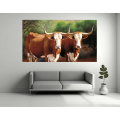 Canvas Wall Art - Two Boran cattle Standing - B1421