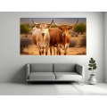 Canvas Wall Art - Two Boran cattle Standing - B1424