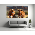Canvas Wall Art - Two Afrikaner Cattle Standing - B1425