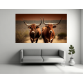 Canvas Wall Art - Two Afrikaner Cattle Standing - B1426