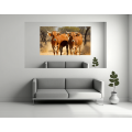 Canvas Wall Art - Two Mashona Cattle Standing - B1432