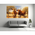 Canvas Wall Art - Two Mashona Cattle Standing - B1431