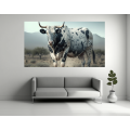 Canvas Wall Art - Big Spotted Nguni Bull - B1437