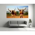 Canvas Wall Art - Two Ankole Cattle Standing - B1441