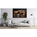 Canvas Wall Art - Two Ankole Bulls - B1413