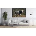 Canvas Wall Art - Very Big Fat Nguni Bull With - A1601