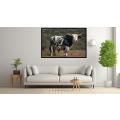 Canvas Wall Art - Very Big Fat Nguni Bull With - A1601