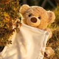 Peek A Boo Interactive Teddy Bear