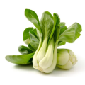 Pak Choi - White Stemmed - 150 Seeds