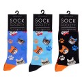 Sock Society Cat in Specs Pack of 3