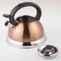 Stainless Steel Whistling Kettle 3L PURPLE