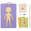 TookyToy - Body Magnetic Chart