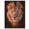 Ambassador - Photographers Collection 1000 Piece Puzzle - African Lion