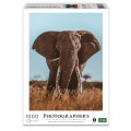 Ambassador - Photographers Collection 1000 Piece Puzzle - African Elephant