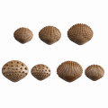 EDX Education - Tactile Shells - Eco Friendly FPC Material - 6 Tactiles - 3 Sizes - 36pcs