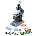 Greenbean Science - Microscope Kit - Senior - 100x 200x 300x