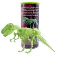 Edu-Toys - Glow in the Dark - Tyrannosaurus Rex Skeleton - 25cm