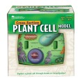 Learning Resources - Cross-Section Plant Cell Model