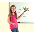 Learning Resources - Giant Magnetic - Plant Life Cycles