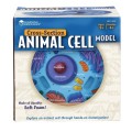Learning Resources - Cross-Section Animal Cell Model
