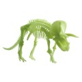Edu-Toys - Glow in the Dark - Triceratops Skeleton - 22cm