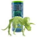 Edu-Toys - Glow in the Dark - Triceratops Skeleton - 22cm