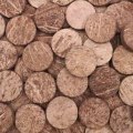 Anthony Peters - Natural Coconut Shell Circles (25mm): 250g