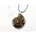 Ammonite Pendant (Strength &amp; Stability)