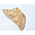 Kalahari Picture Jasper Rough (Dentric inclusions) 382g