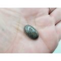 Black Fossil Coral Polished Cabochon (3.16g)
