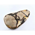 Septarian Slice C (176g)