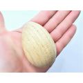 Shaker Egg Instrument (6cm)`