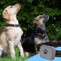 Dog Tracking Collar GPS, GSM, Free Mobile App