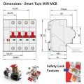 Smart Switch Circuit Breaker 63A, 2 Pole Isolator + Power Energy Monitoring WAV | WiFi Tuya Smart...