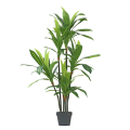Artificial Dracaena Houseplant and Pot Plant (125cm)