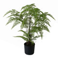 Artificial Pot Plant Fern Tree (60cm)