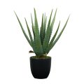 Aloe Succulent Artificial Plant
