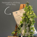 Artificial Hanging Ivy Pot Planter and Decor Plant